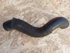 Kép 4/4 - Mazda 6 GG (2002-2008) 2.0 Diesel Vízcső 