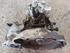 Kép 3/9 - Opel Astra J (2009-2015) 1.4 Benzines Sebességváltó 