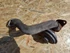 Kép 4/5 - Audi A6 C6 4F ( 2004-2011) 3.0Tdi  V6 Diesel EGR Szelep
