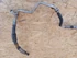 Kép 2/6 - Chevrolet Lacetti (2005-2013) 1.6 Benzines Klímacső
